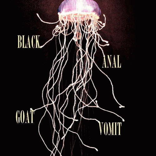 Black Anal Goat Vomit : Misc. Recordings